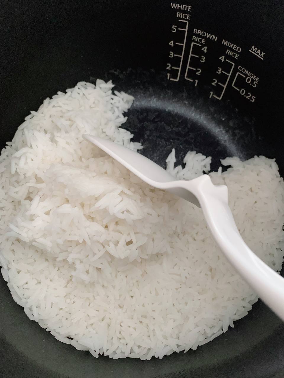 [Mini Review] Toshiba Digital Rice Cooker (honatsukama series)